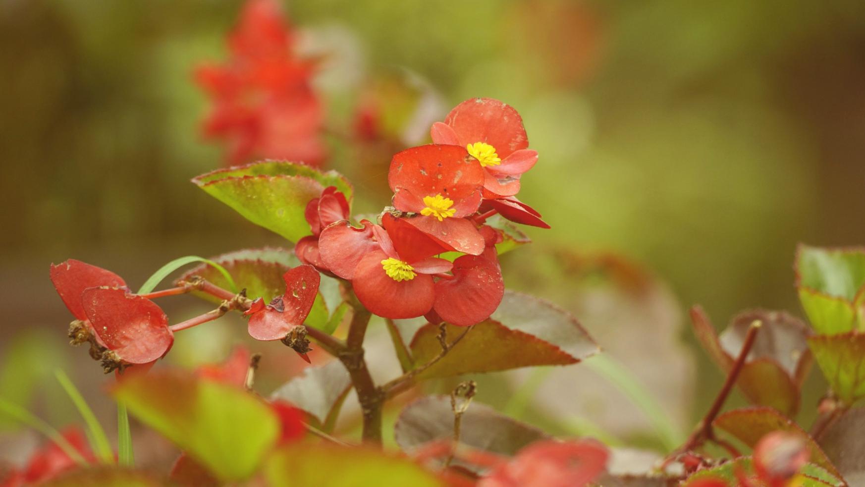Студентський проект: складна асиметрична композиція з сезонних матеріалів