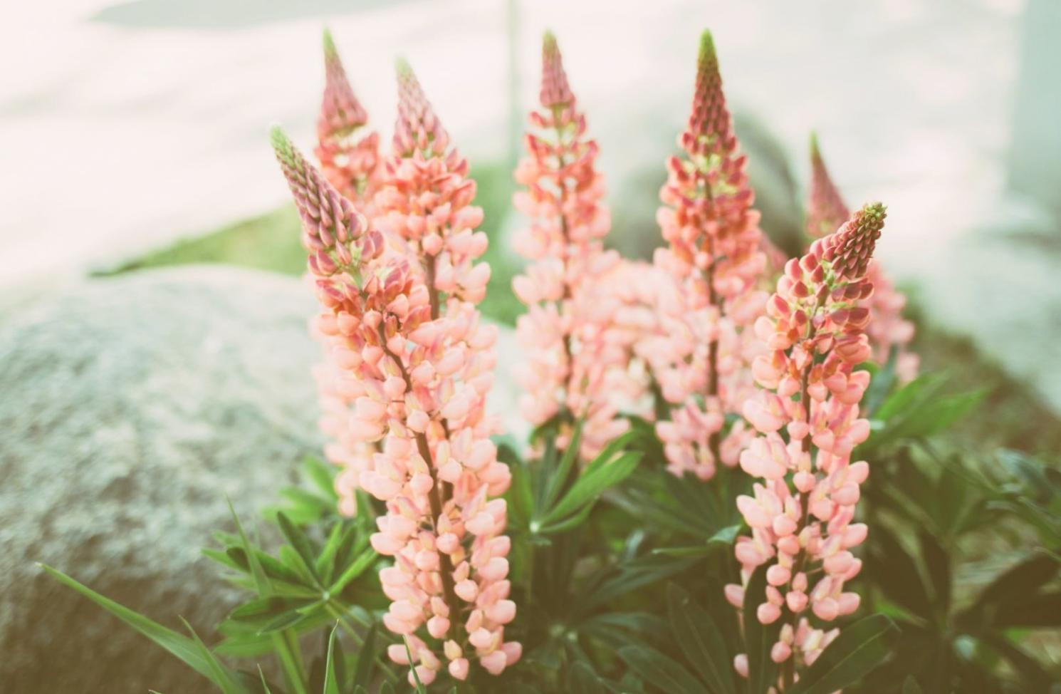 Професійна флористична композиція